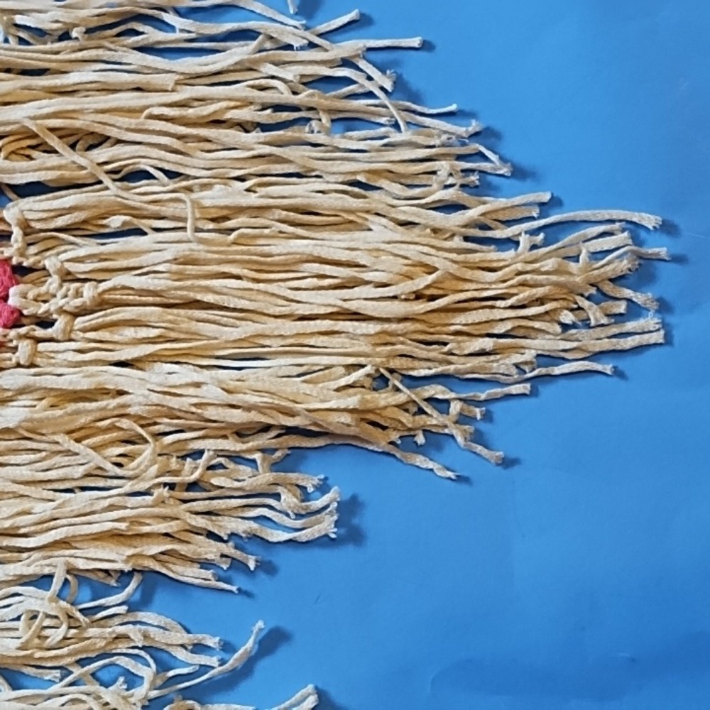 NWT Multicolor Boho Crochet Fringe Top - Picture 7 of 16